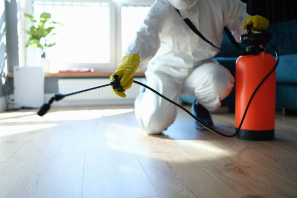 Affordable Sewage Cleanup solutions in Sparta, IL